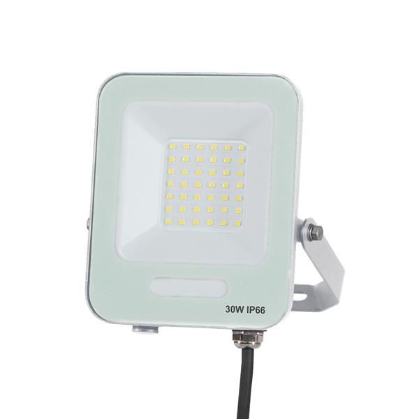 ΠΡΟΒΟΛΕΑΣ LED SMD 30W ΛΕΥΚΟΣ IP66 6500K PLUS Eurolamp 147-69036