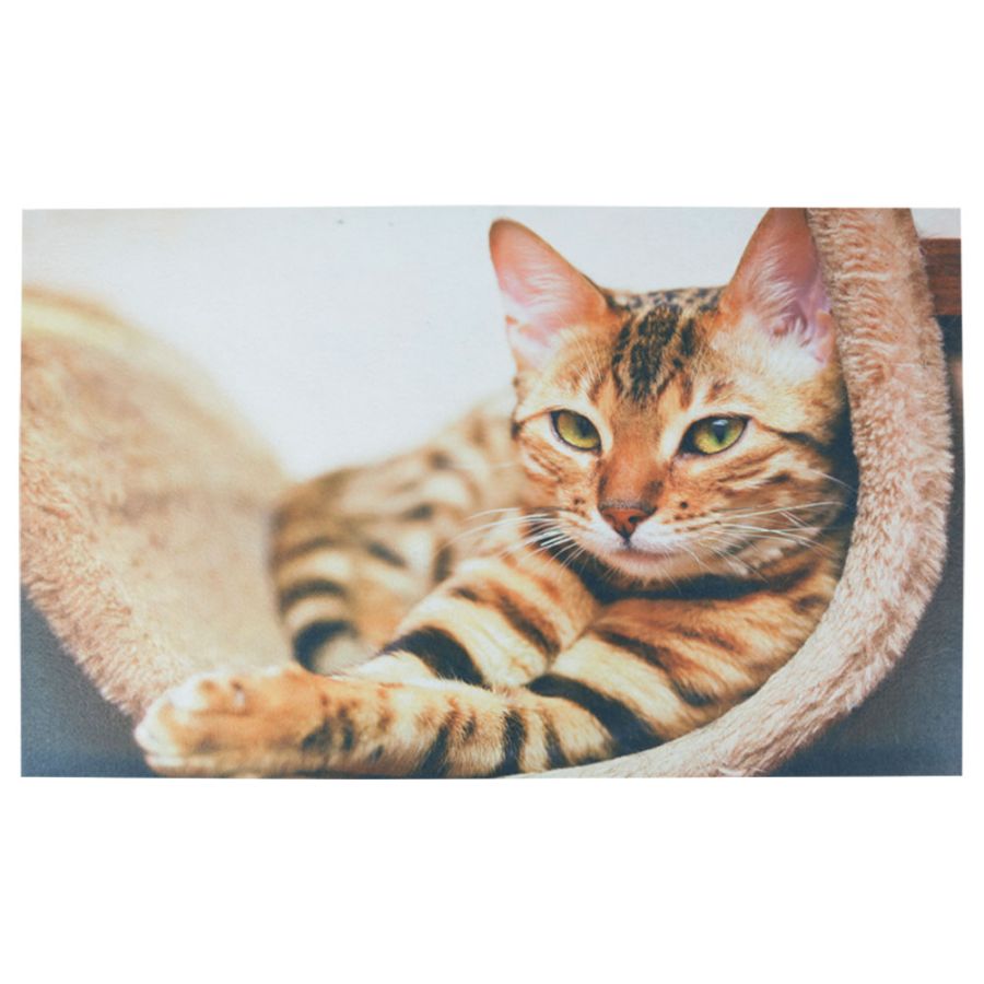 ΠΑΤΑΚΙ ΕΙΣΟΔΟΥ SLEEPY CAT 45X75 San Lorentzo 8427