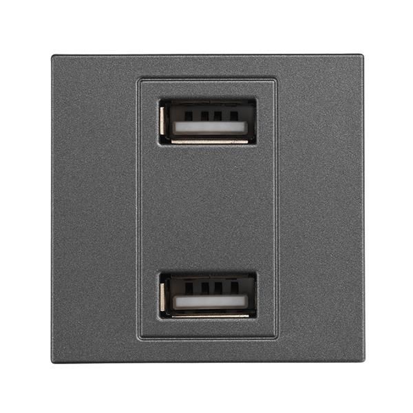 ΠΡΙΖΑ 2 Χ USB MODULES ΓΡΑΦΙΤΗΣ Eurolamp 152-20458