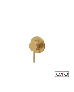 Μίκτης Εντοιχισμού 1 Εξόδου Cosmo PVD Gold Brushed Inox 316L 6150-211