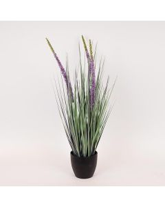 ΦΥΤΟ ΕΡΕΜΟΥΡΟΣ ΣΕ ΓΛΑΣΤΡΑ ΠΛΑΣΤΙΚΟ 80cm Eurolamp 816-50022