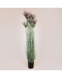 ΦΥΤΟ ΓΡΑΣΙΔΙ ΣΕ ΓΛΑΣΤΡΑ ΠΛΑΣΤΙΚΟ 183cm Eurolamp 816-50016