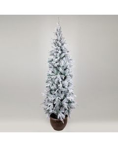 ΔΕΝΤΡΟ ΕΛΑΤΟ ΧΙΟΝΙΣΜΕΝΟ, ΣΤΟΚΧΟΛΜΗ, ΜΕ ΓΛΑΣΤΡΑΚΙ, 210cm Eurolamp 600-30648