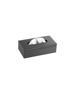 Sanco Tissue Dispensers Tissue Box Free standing | Wall mounted (AISI 304) Σκούρο γραφίτη 00102-122