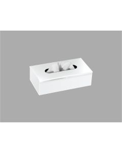 Sanco Tissue Dispensers Tissue Box Free standing | Wall mounted (AISI 304) Λευκό ματ 00102-Μ101