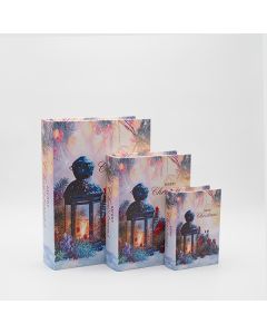 ΒΙΒΛΙΑ ΔΙΑΚΟΣΜΗΤΙΚΑ, ΜΕ ΦΑΝΑΡΑΚΙ,  ΞΥΛΙΝΑ, ΣΕΤ 3 ΤΜΧ, 30x22x7.5,  23x17.5x6 ΚΑΙ 16x11x5 Eurolamp 600-47042