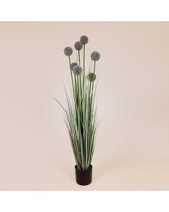 ΦΥΤΟ ΓΡΑΣΙΔΙ ΑΛΛΙΟ ΣΕ ΓΛΑΣΤΡΑ ΠΛΑΣΤΙΚΟ 140cm Eurolamp 816-50009
