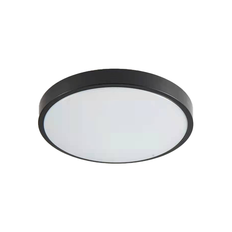 it-Lighting Torch LED 18W 3CCT Outdoor Ceiling Light Anthracite D:28cmx5,3cm 80300340
