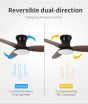 SE LED F100 WINDY BLACK-BROWN FAN 30W SMART WITH CONTROL 100x100x50cm 3000k-6500k 85-265V 2 Y HOMELIGHTING 77-50632