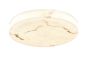 Φωτιστικό οροφής, LED 36W Alabaster & ritine, 3960 lm, 3CCT by switch on base D:40x6cm 42053-C