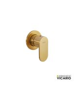 Μίκτης Εντοιχισμού 1 Εξόδου Slim Vicario Brushed Gold 500050-201