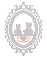 WLC 164 WH # ΑΠΛΙΚΑ 2/Φ CAT 6000K/3000K ARlight 0304154