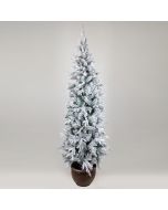 ΔΕΝΤΡΟ ΕΛΑΤΟ ΧΙΟΝΙΣΜΕΝΟ, ΣΤΟΚΧΟΛΜΗ, ΜΕ ΓΛΑΣΤΡΑΚΙ, 210cm Eurolamp 600-30648