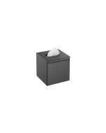 Sanco Tissue Dispensers Tissue Box Free standing | Wall mounted (AISI 304) Σκούρο γραφίτη 00106-122
