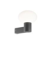 Απλίκα CLIO MAP1 Ανθρακί Ideal Lux 145228