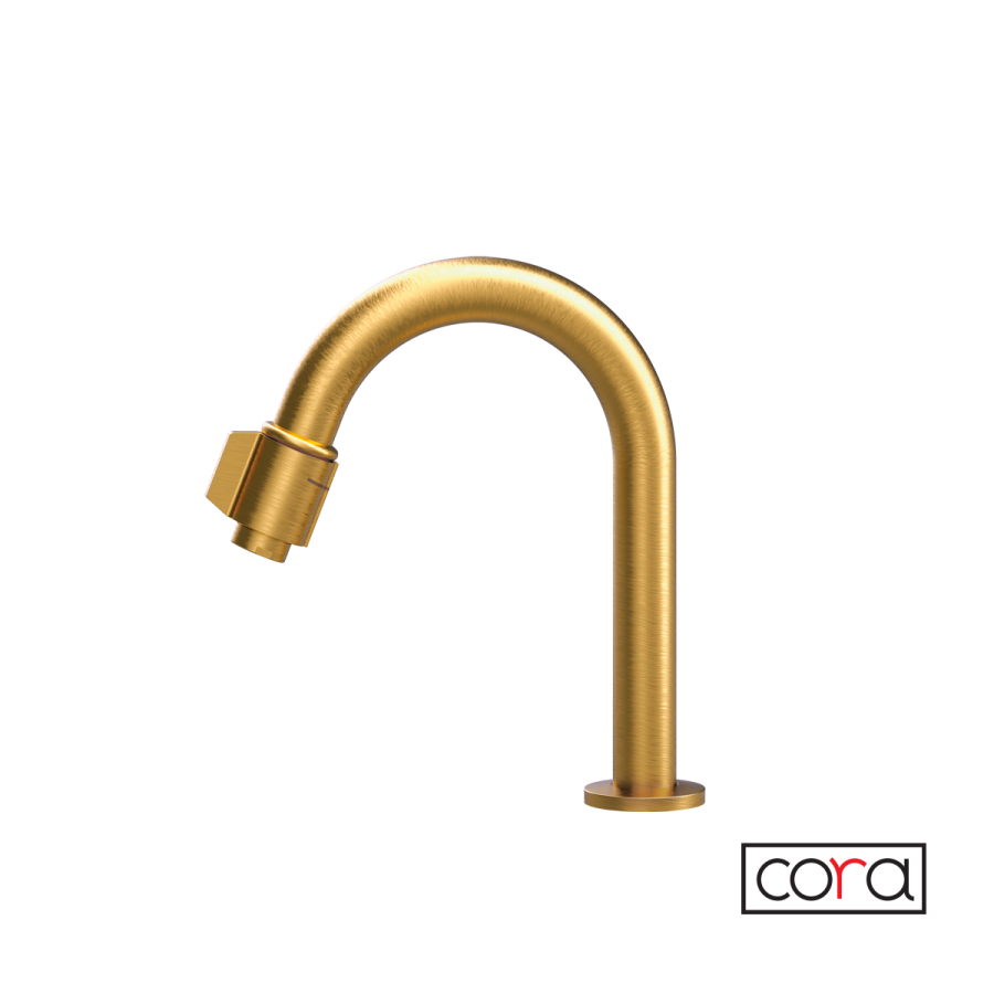 Ρουξούνι Φίλτρου (με διακόπτη) CORA Brushed Gold  13504-201