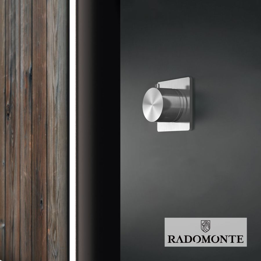 Εκτροπέας εντοιχισμού (εξωτερικό τμήμα) 2 εξόδων AICO-OKAMI Geda Brushed Inox DEV10-S