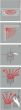 Umbrella chrome με 12 ακτίνες βραχίονας μπάνιου γωνιακός Sealskin  272226304