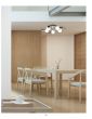 KQ 2626/3 SHEVY CEILING LAMP Δ3 HOMELIGHTING 77-8087