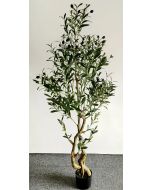 Τεχνητό Διακοσμητικό ΦυτόH150cm  “Olive Tree” Etoile SSD-050