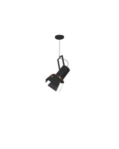 HL-3600-1L ARLEN BLACK PENDANT HOMELIGHTING 77-4248