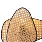 ΑΠΛΙΚΑ ΤΟΙΧΟΥ ΡΑΤΤΑΝ 1XE27 Max 15W 430X300mm ΚΑΦΕ-ΜΑΥΡΟ ARTE ILLUMINA KAI Eurolamp 144-33036