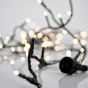 XMAS ΛΑΜΠΑΚΙ ΠΥΚΝΗ ΣΕΙΡΑ 800 LED 3mm 31V ΜΕΤΑΣΧΗΜΑΤΙΣΤΗ 4 ΕΠΕΚΤΑΣΕΙΣ ΕΩΣ 2 ΣΕΤ ΠΡΑΣΙΝΟ PVC ΚΑΛΩΔΙΟ ΑΠΑΛΟ ΛΕΥΚΟ LED ANA 2cm ΠΑΡΟΧΗ 3m ΙΡ44 Eurolamp 600-19302
