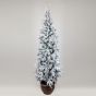 ΔΕΝΤΡΟ ΕΛΑΤΟ ΧΙΟΝΙΣΜΕΝΟ, ΣΤΟΚΧΟΛΜΗ, ΜΕ ΓΛΑΣΤΡΑΚΙ, 210cm Eurolamp 600-30648