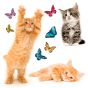 Cats αυτοκόλλητα βινυλίου για τζάμι M Ango 64001