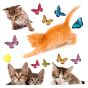 Cats αυτοκόλλητα βινυλίου για τζάμι M Ango 64001