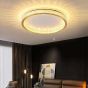 SE LED 50 SUN GOLD 3CCT WITH REMOTE CONTROL 50cm 2 YEARS WARRANTY HOMELIGHTING 77-51202