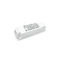 Driver LED BENTO Τροφοδοτικό 1-10V 12W 250mA Ideal Lux 287843