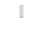 Φωτιστικό Οροφής LOOK PL1 SQUARE D60 H200 Ορείχαλκος Ideal Lux 371504