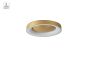 SE LED 60 AMAYA CEILING BRUSHED GOLD Δ3 HOMELIGHTING 77-8159