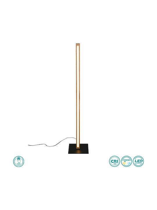 Φωτιστικό Επιδαπέδιο L22x22xH115cm Smd Led 20w 2300lm 3000K Brass Mat-Black Mat Trio Bellalri 426410130