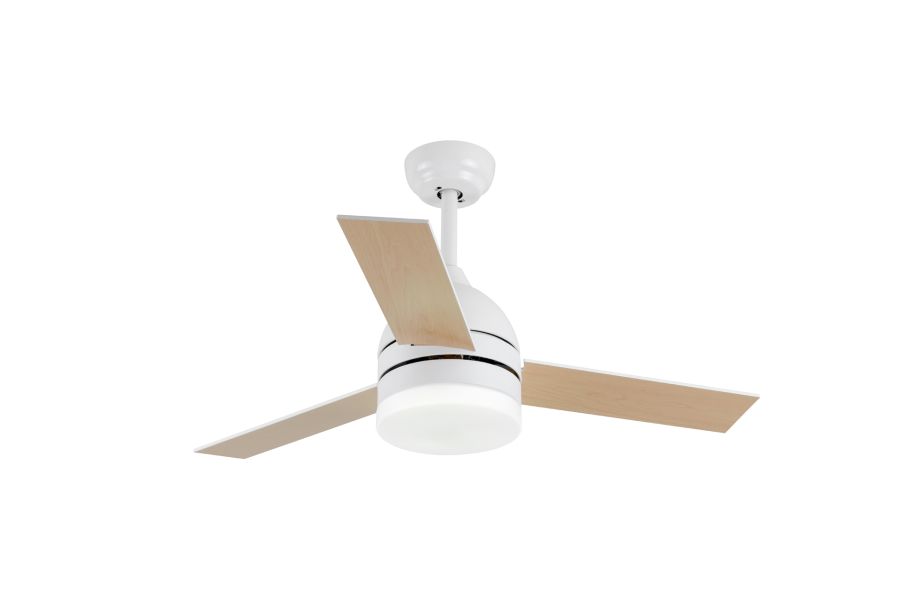 ΑΝΕΜΙΣΤΗΡΑΣ ΟΡΟΦΗΣ LED Spotlight 3184