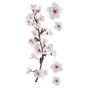 Photographic Blossom αυτοκόλλητα τοίχου βινυλίου (59389) Ango