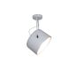 HL-3599-1S ARCHIE BLACK CEILING HOMELIGHTING 77-4227