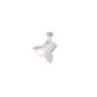 HL-3600-1XXL-C ARLEN WHITE CEILING HOMELIGHTING 77-4291