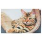 ΠΑΤΑΚΙ ΕΙΣΟΔΟΥ SLEEPY CAT 45X75 San Lorentzo 8427