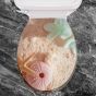 ΚΑΠΑΚΙ WC SEASHELLS  2 36(φ)x43(μ) San Lorentzo 8045