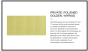 Horus Myriad Contemporary Collection - Wall Shower Set with Solidbrass Handshower - Private: Chrome / Myriad 55.542-CH